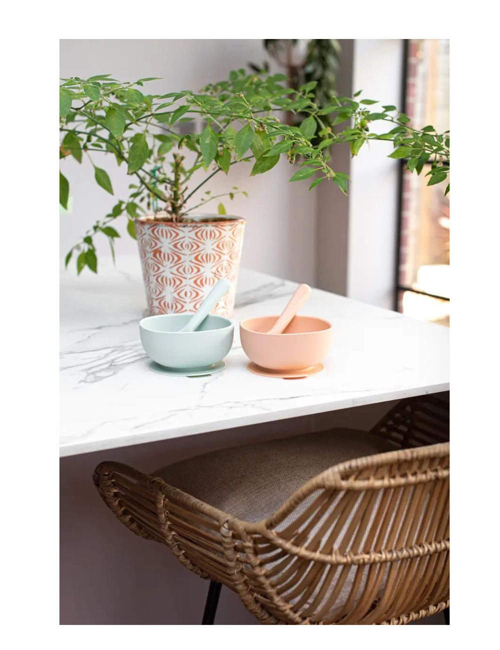 2 Pack Silicone Suction Bowl and Spoon in Kraft Paper Box