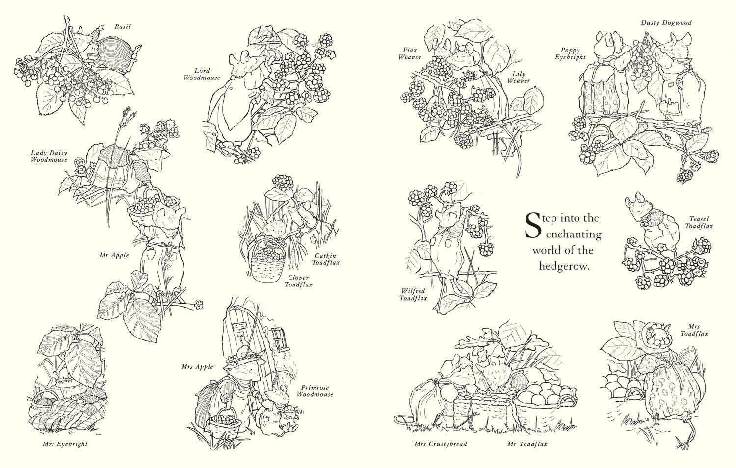 Brambly Hedge Festive Colouring Book