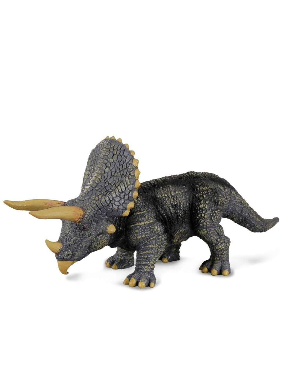 Triceratops