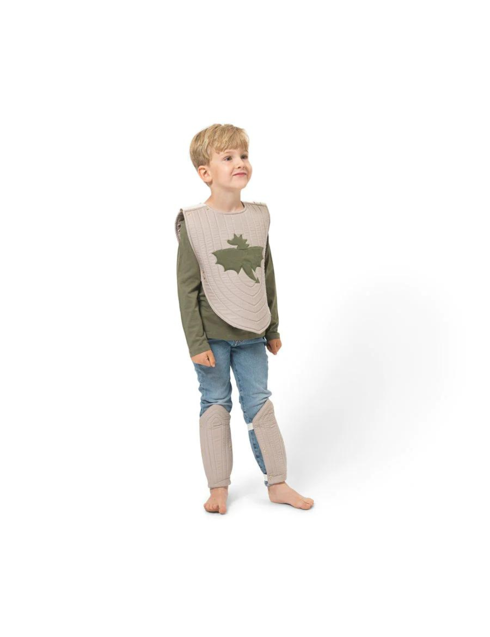 Dress-up Knight Armour Set