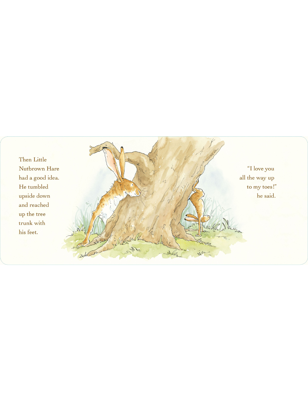 Guess How Much I Love You (Board)