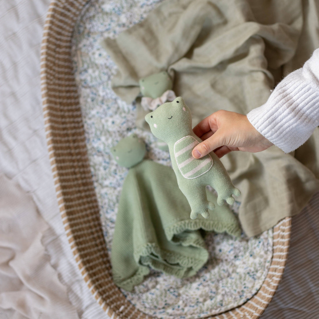 Little Hands Toy - Frog