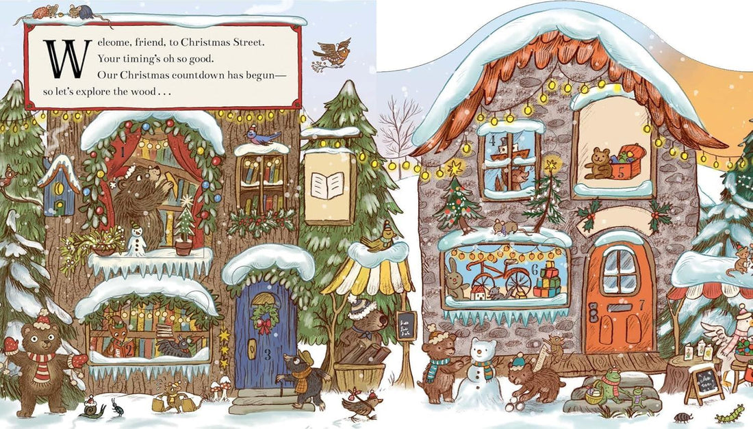 Brown Bear Wood: Christmas Advent Calendar