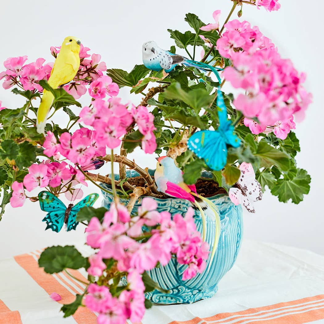 Colourful Bird Design Decorations