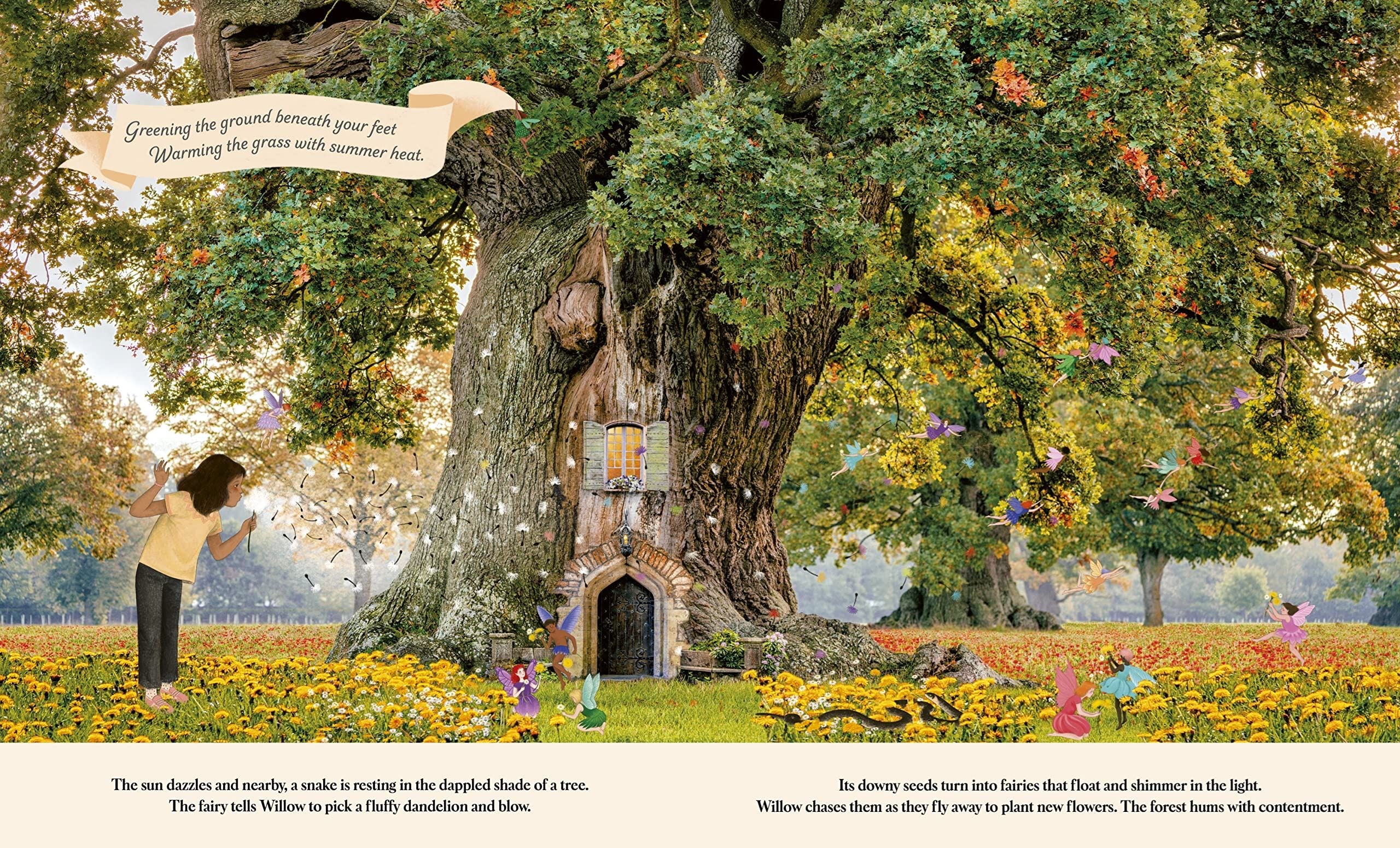 Through the Fairy Door