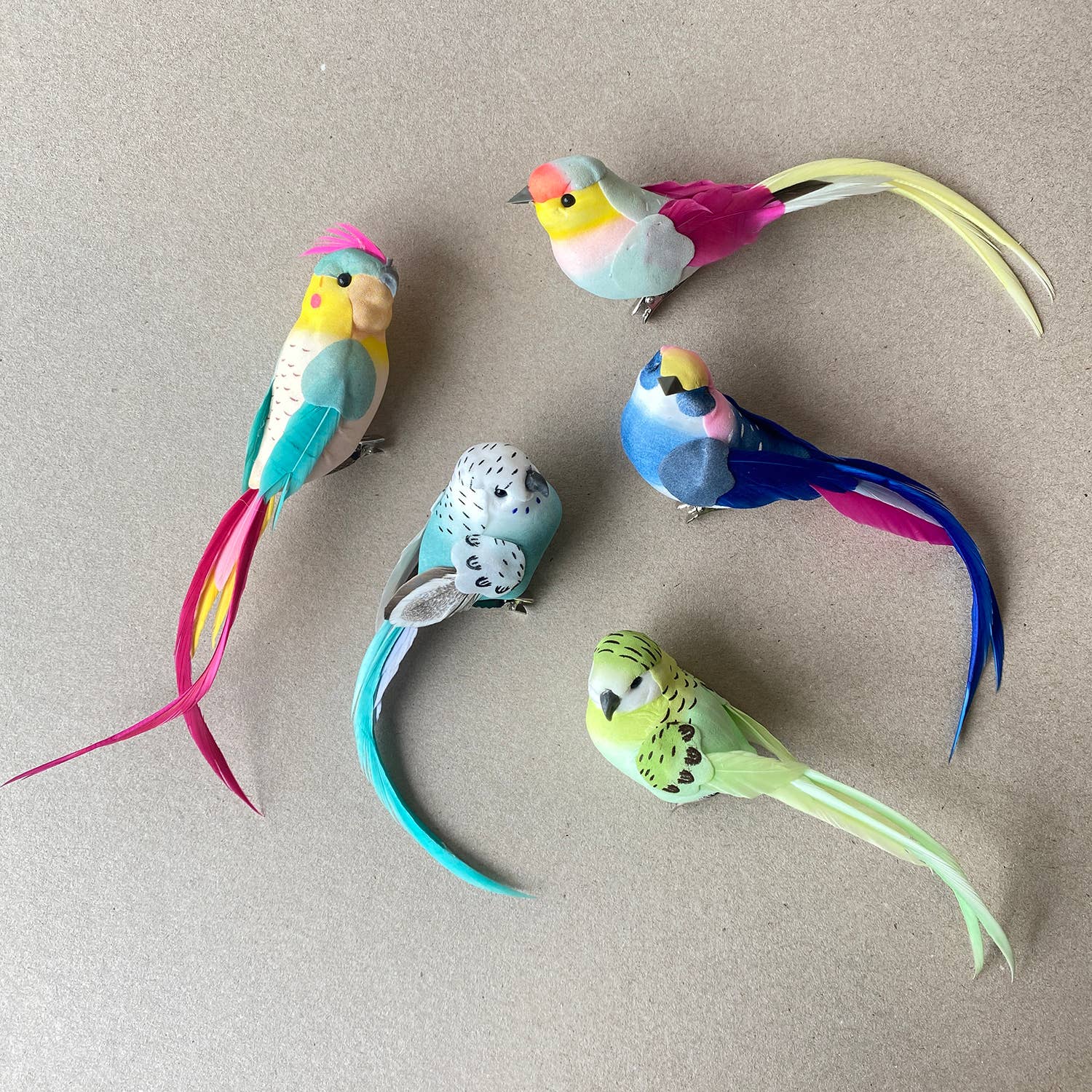 Colourful Bird Design Decorations