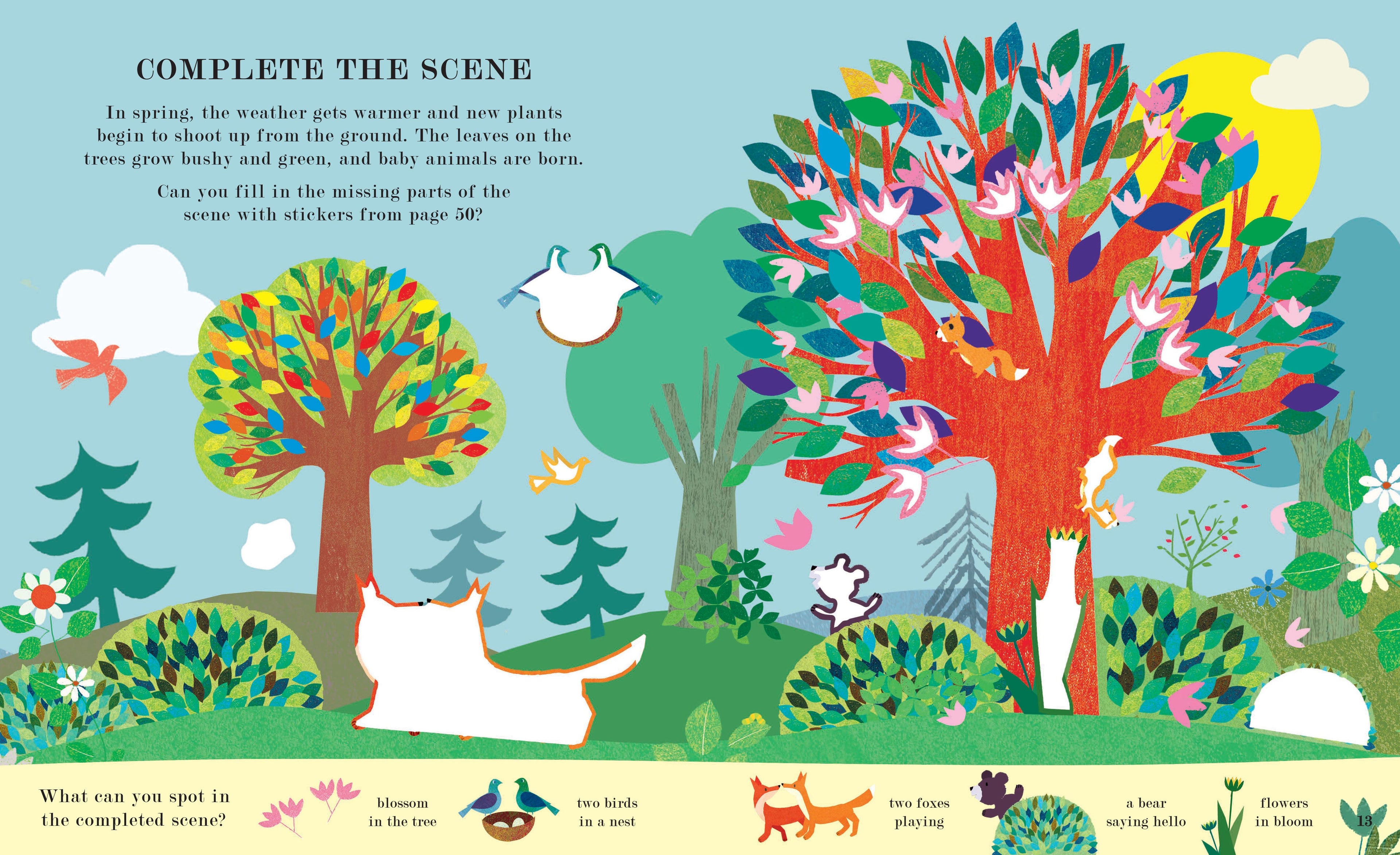Tree: Seasons Come and Seasons Go: Activity Book