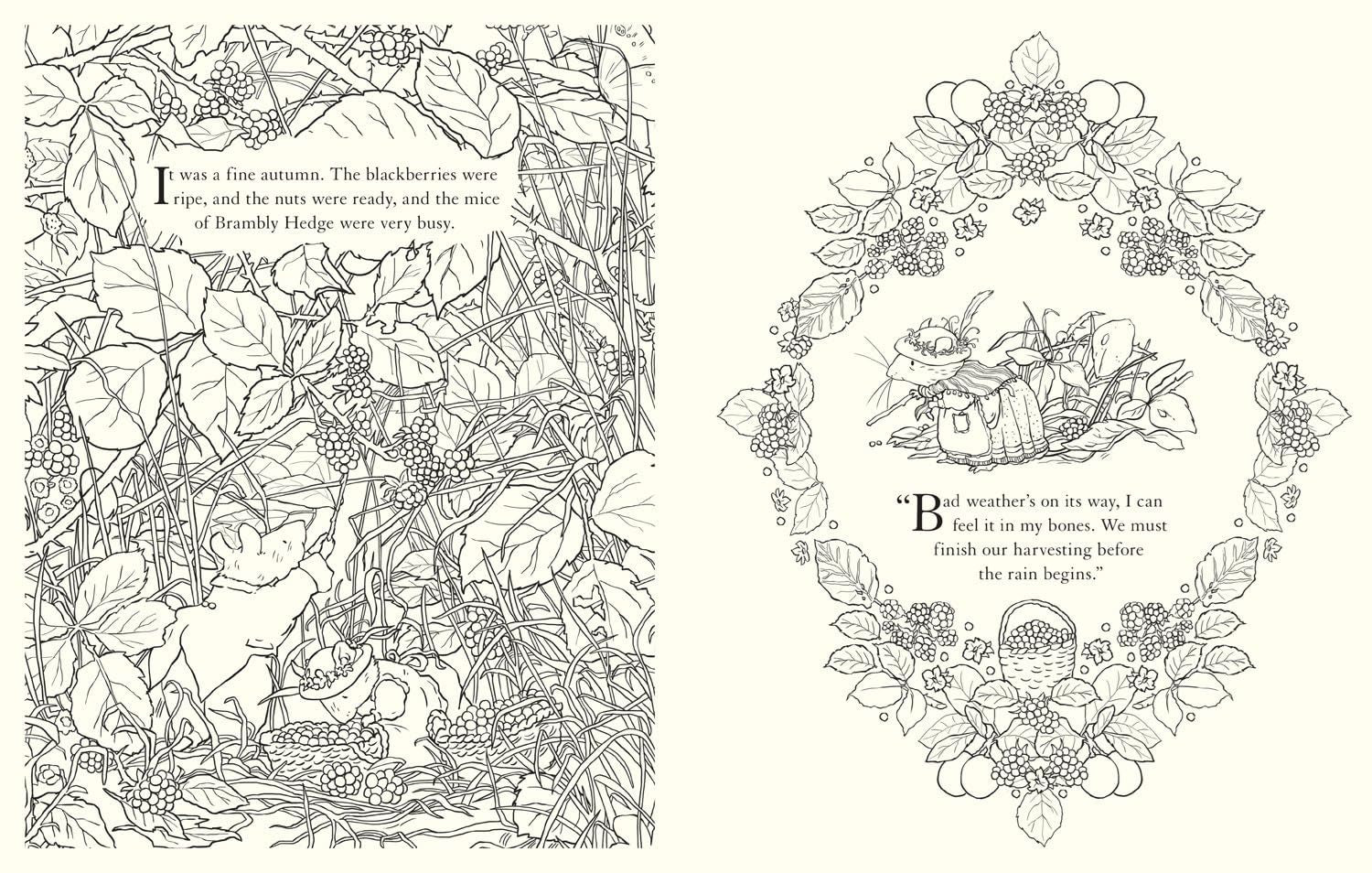 Brambly Hedge Festive Colouring Book
