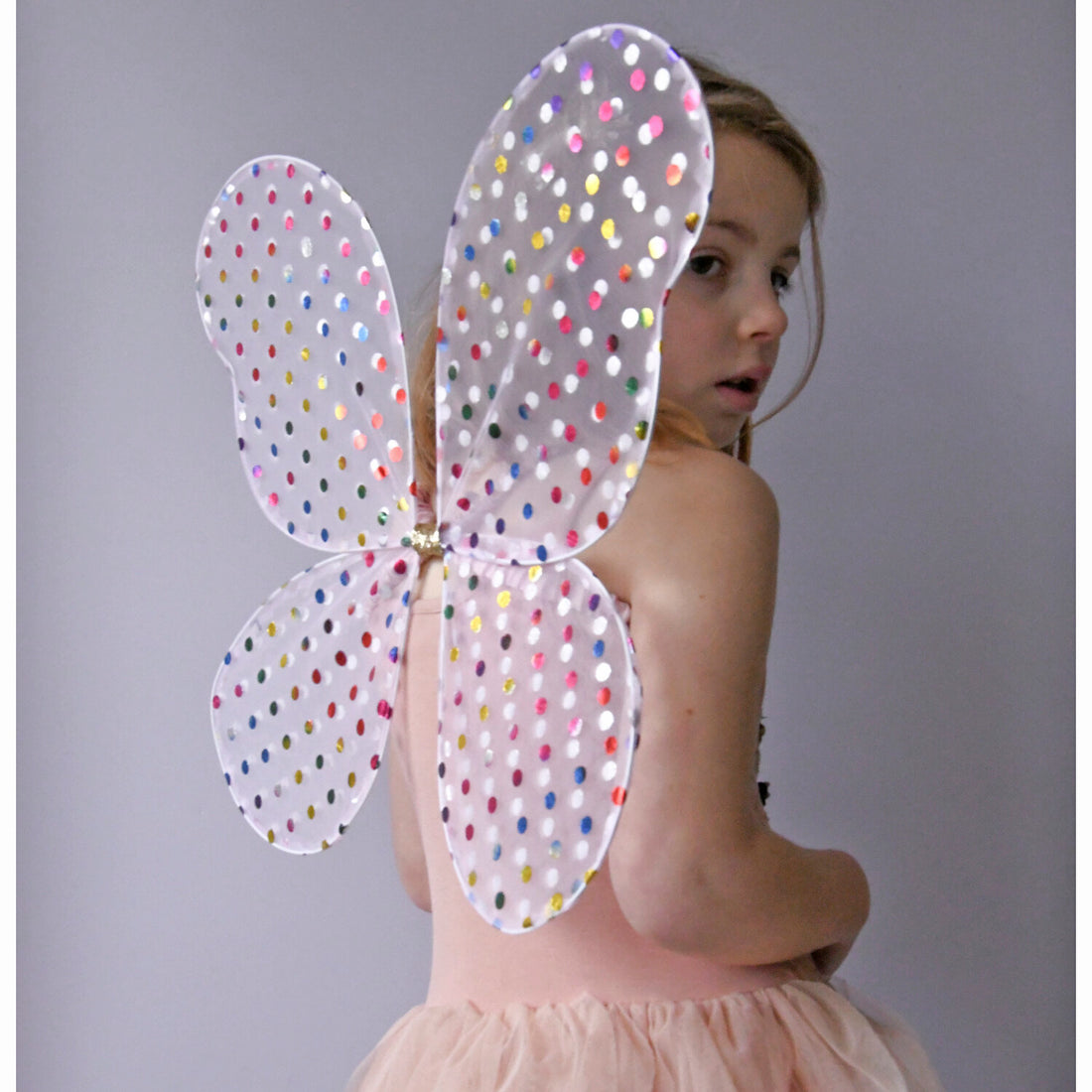 Rainbow Spotty Fairy Wings