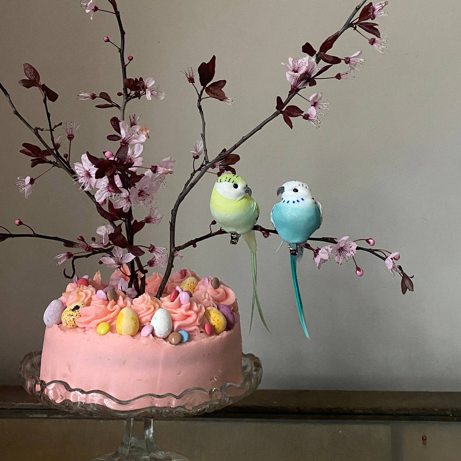 Colourful Bird Design Decorations