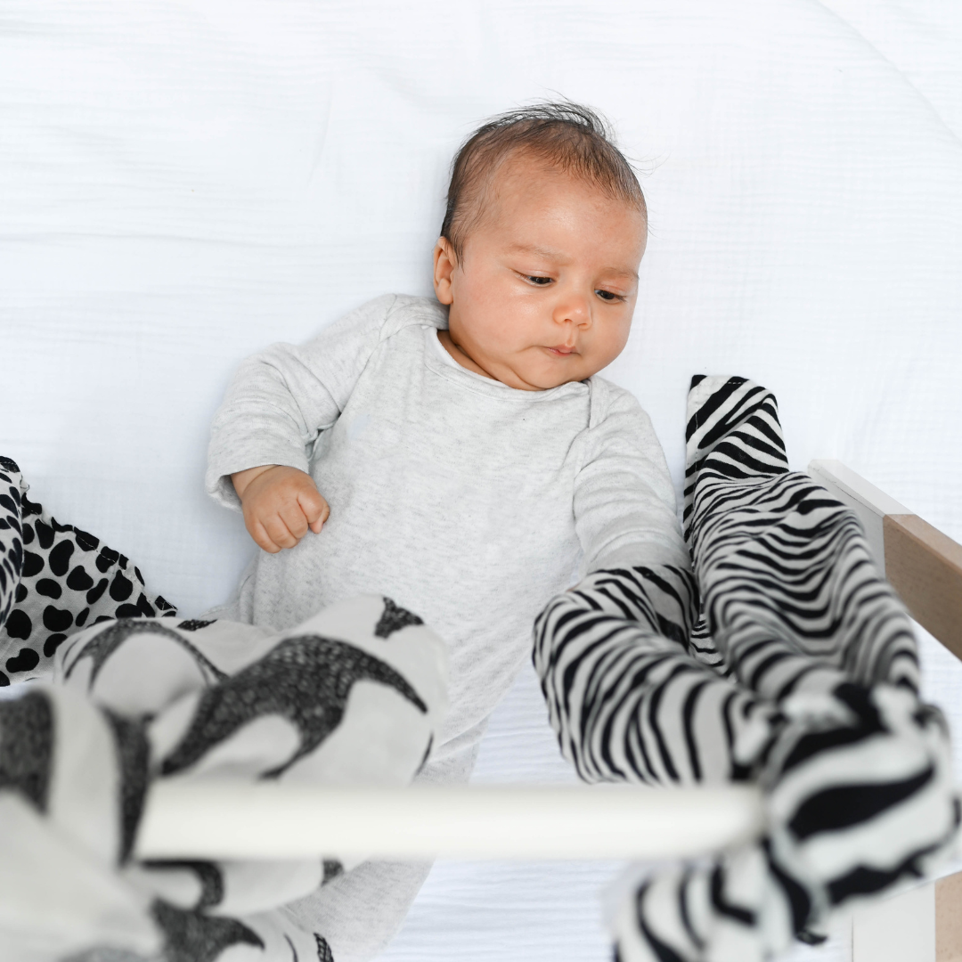 Animal Print Sensory Muslin 3 Pack