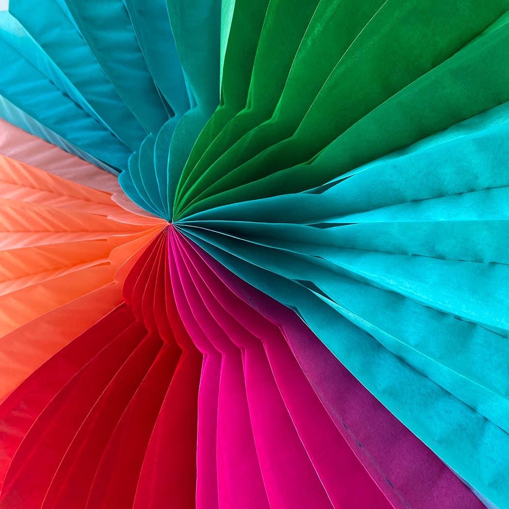 Multi Colour Paper Fan Decoration (Pack of 6) Multi Colour
