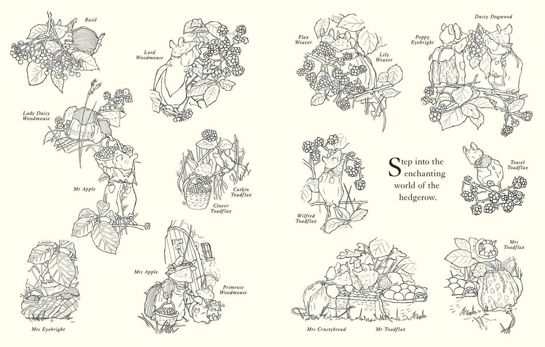 Brambly Hedge Festive Colouring Book