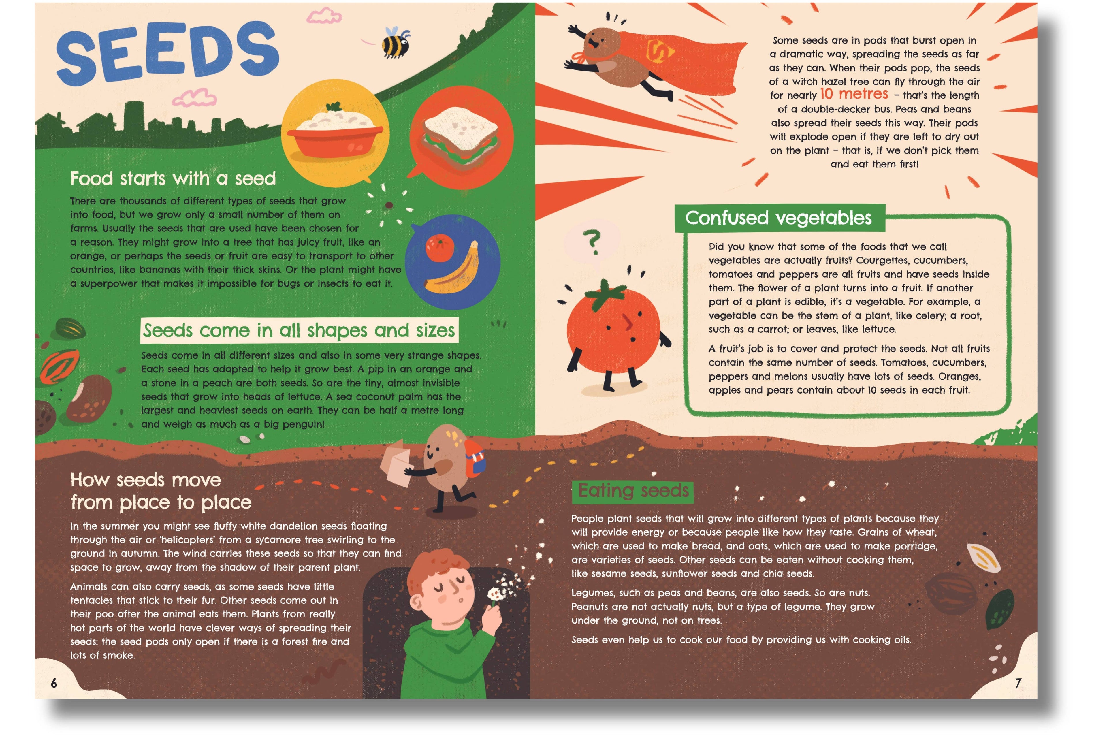 Seed to Supper - The Journey of Your Food from the Ground Up (Hardback)