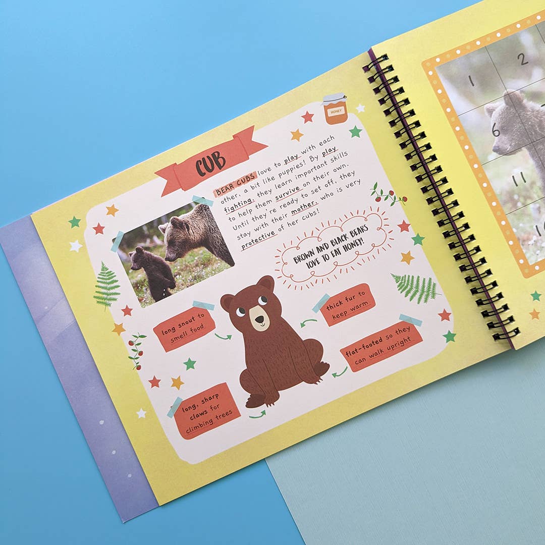 Little Wonders Sticker By Number Book - Baby Animals