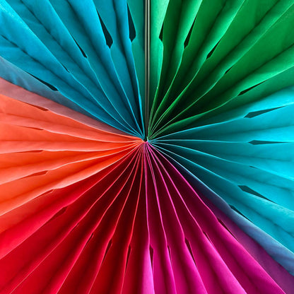 Multi Colour Paper Fan Decoration (Pack of 6) Multi Colour