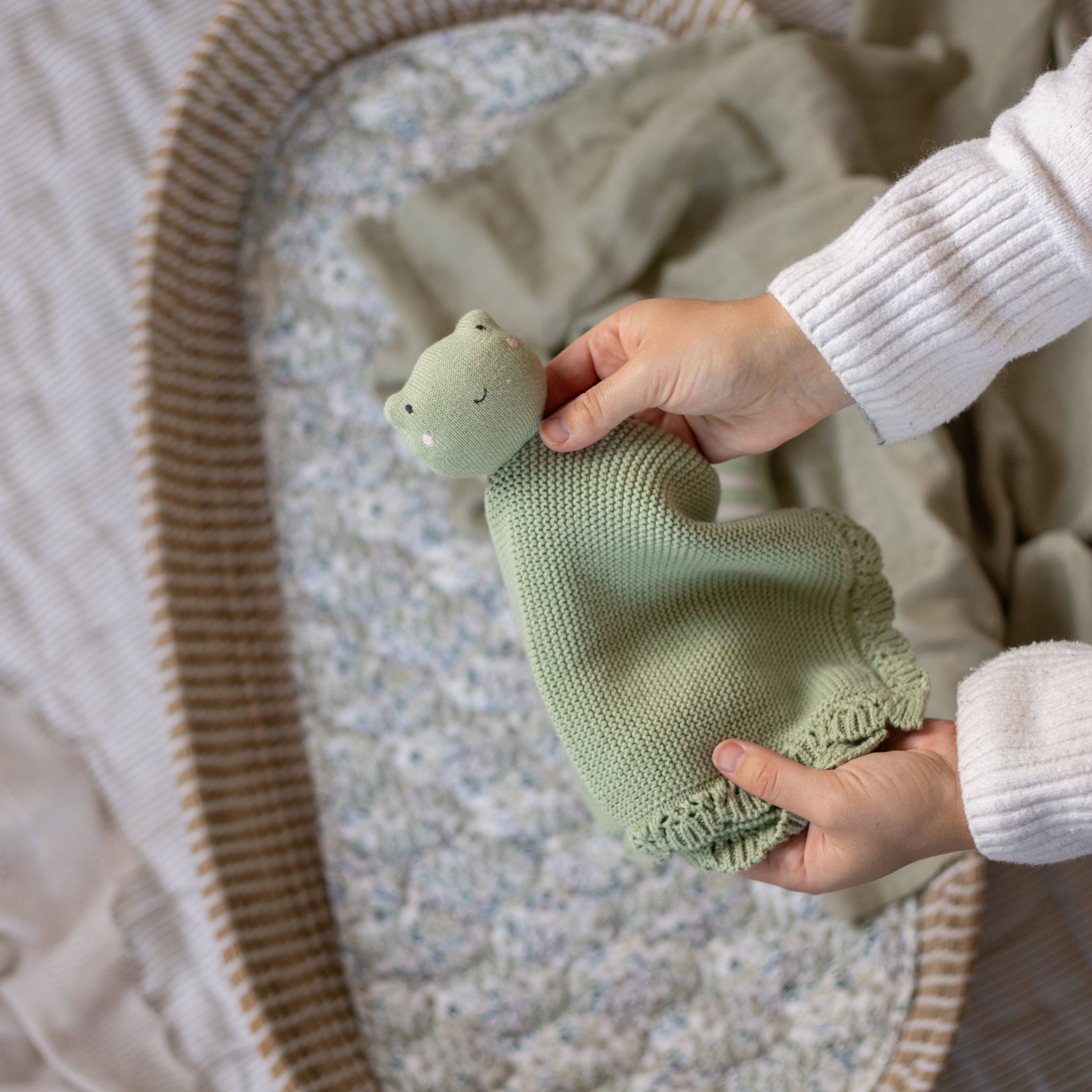 Cuddle Cloth  - Frog