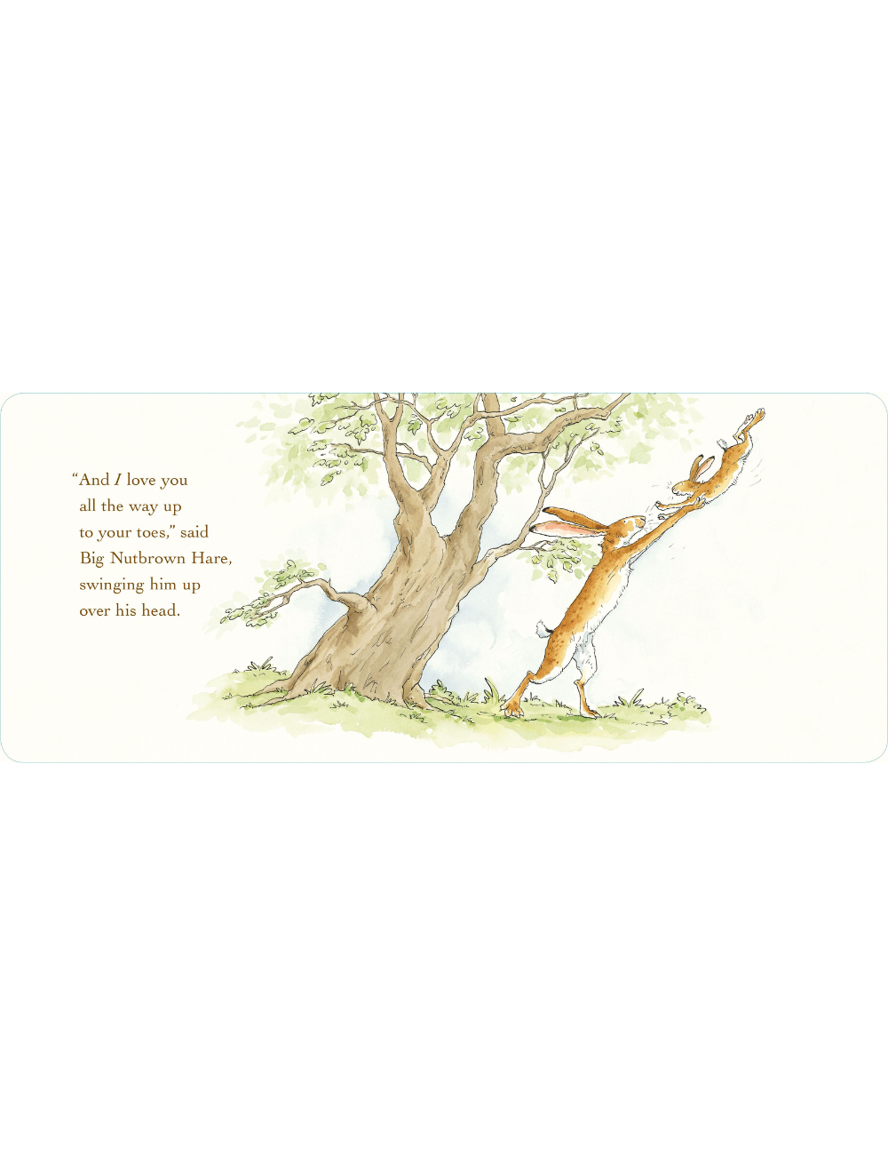 Guess How Much I Love You (Board)