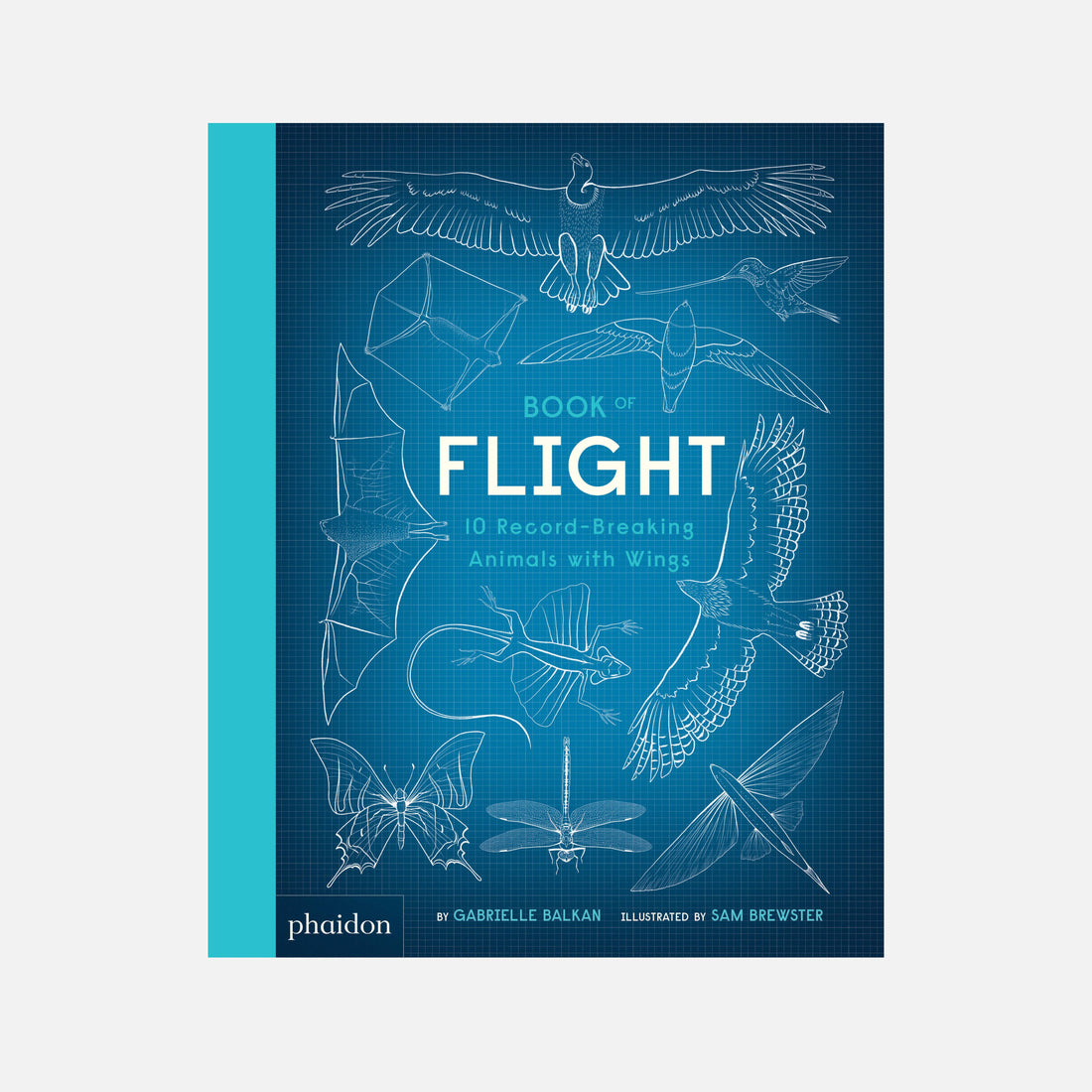 Book of Flight: 10 Record-Breaking Animals with Wings