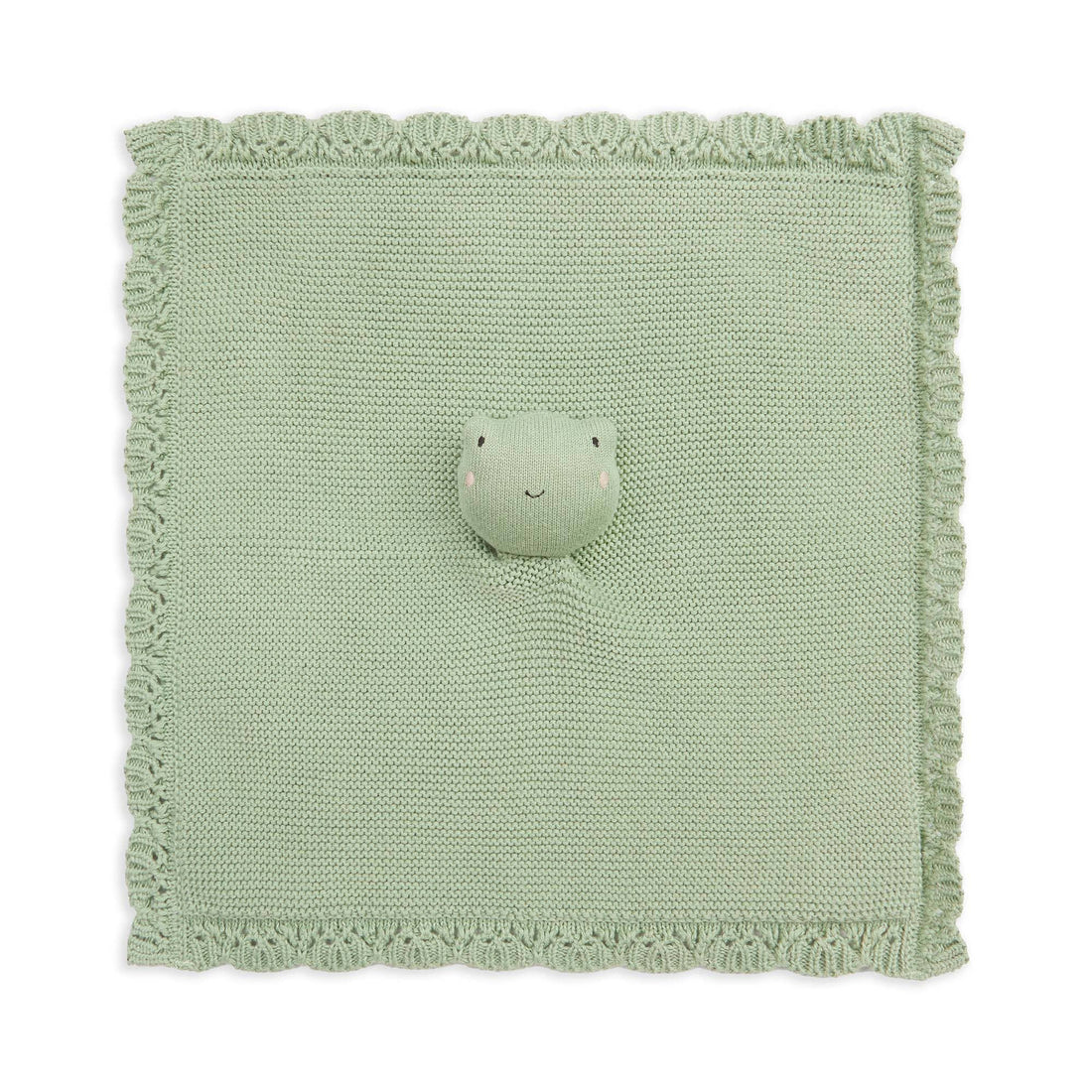 Cuddle Cloth  - Frog