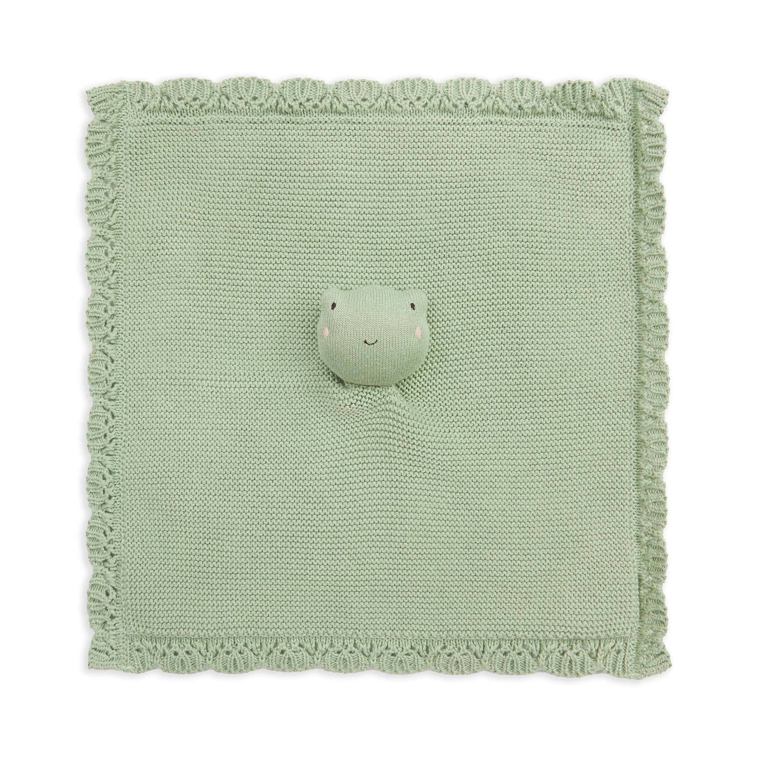 Cuddle Cloth  - Frog