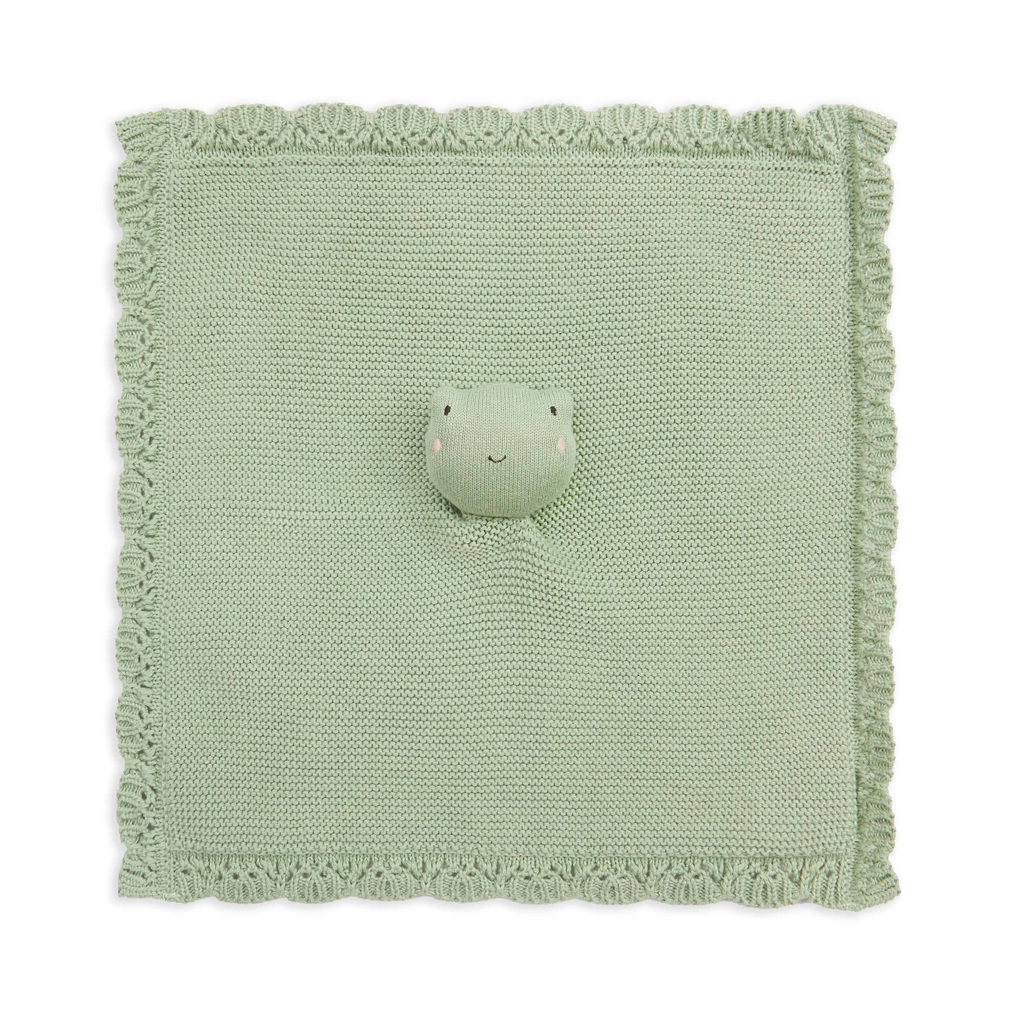 Cuddle Cloth  - Frog