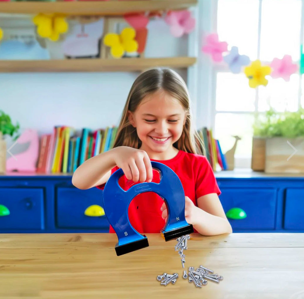 KidzLabs - Giant Magnet