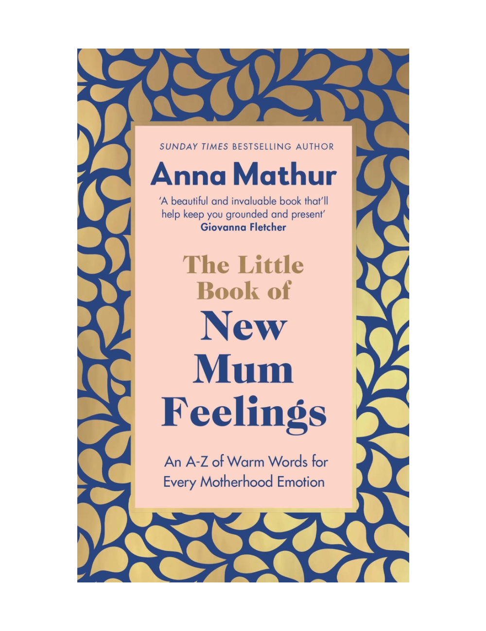 Little Book of New Mum Feelings (HB)