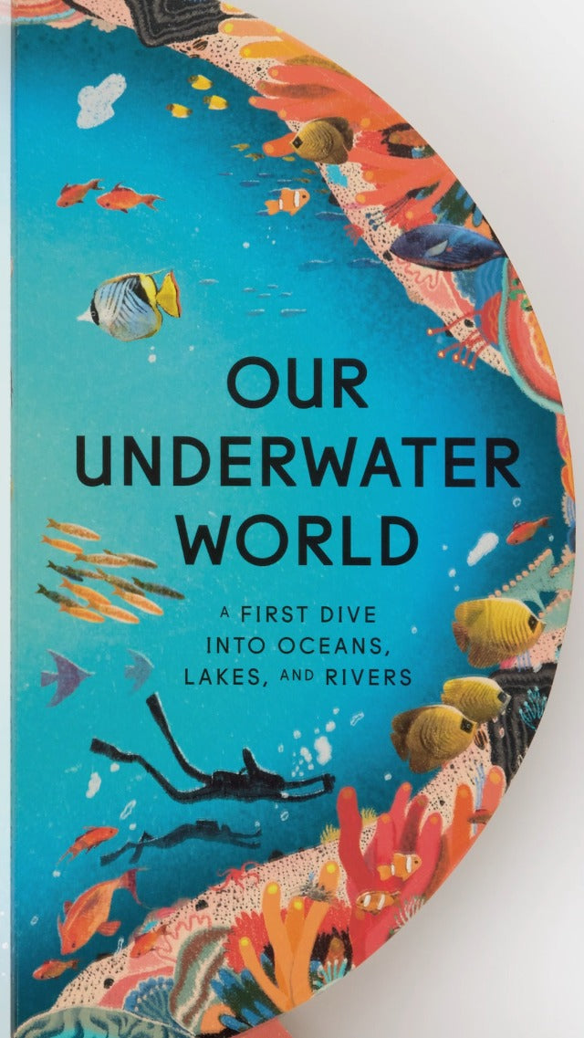 Our Underwater World: A First Dive into Oceans, Lakes and Rivers (Board)