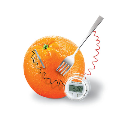 STEAM Powered Kids Kitchen Science