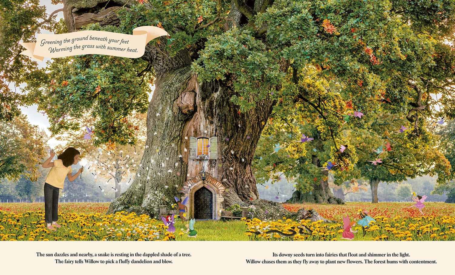 Through the Fairy Door