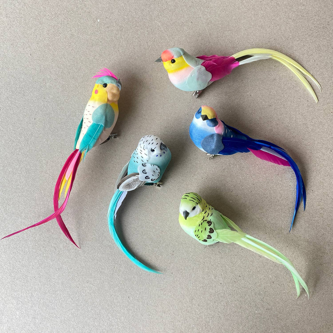Colourful Bird Design Decorations