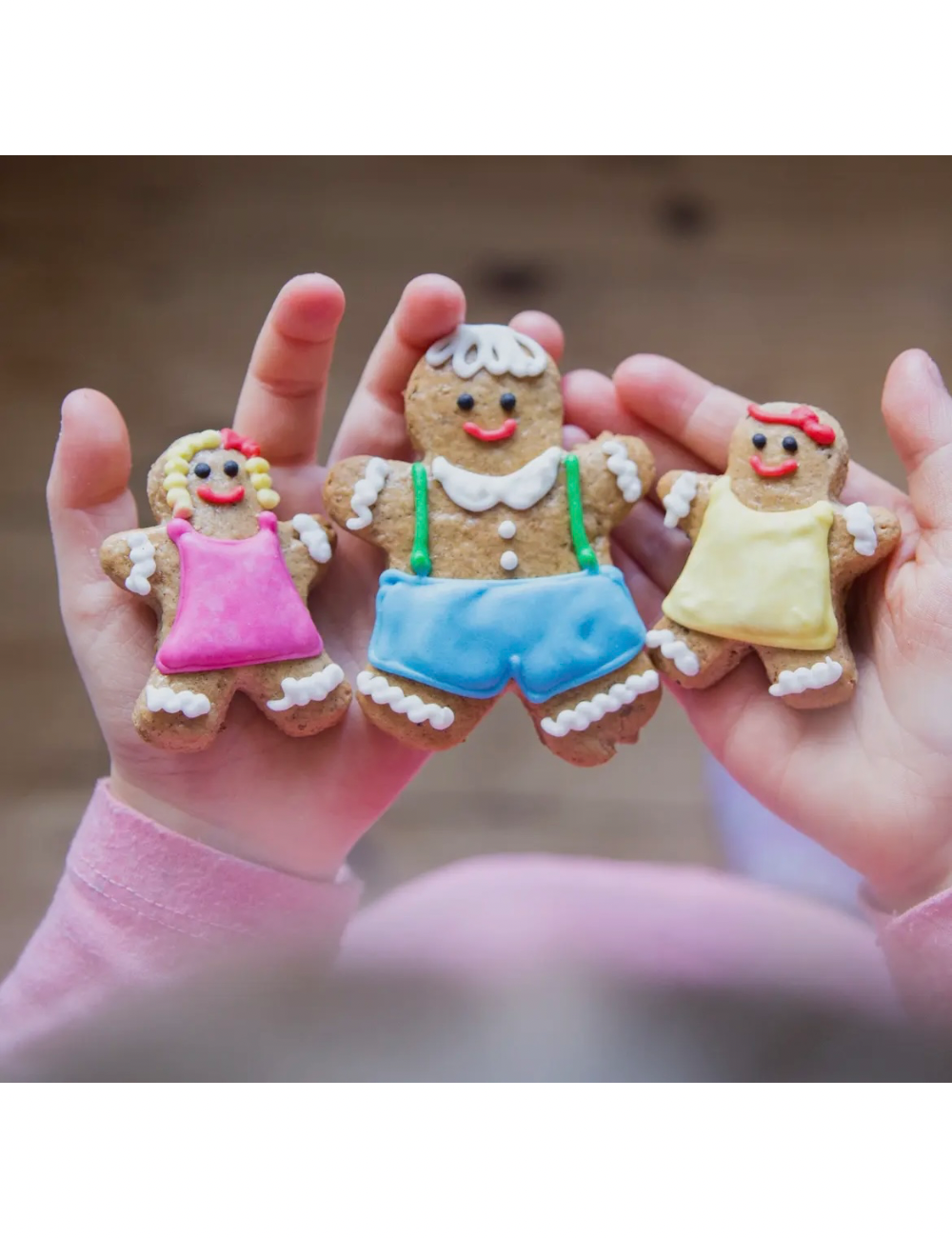 Dolly Biscuit Bake And Craft Kit