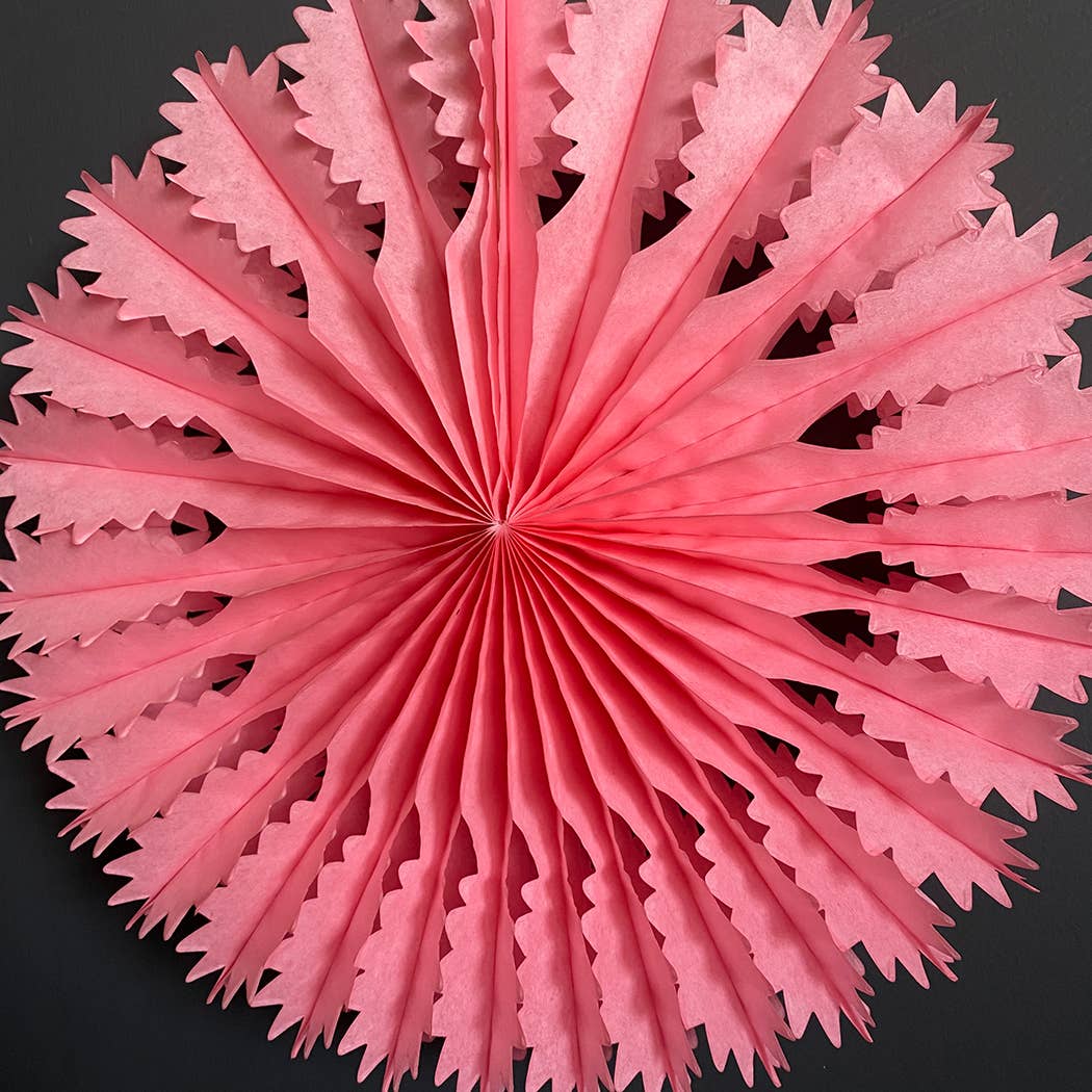 Paper Fan - Pack of 6 - Rose