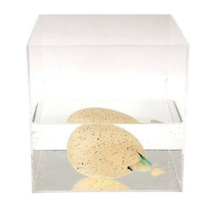 Giant Hatching Dinosaur Egg - Prehistoric Land