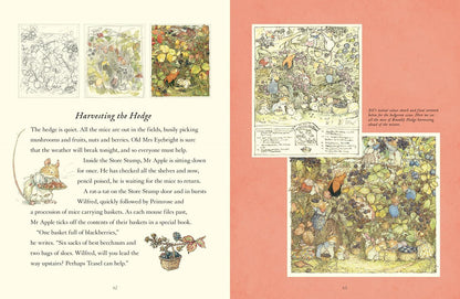 Visit to Brambly Hedge