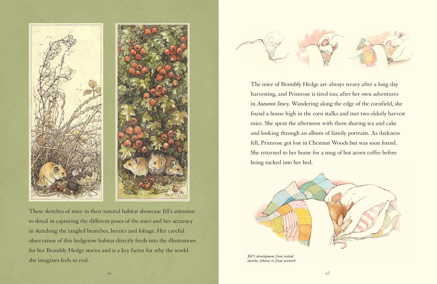 Visit to Brambly Hedge