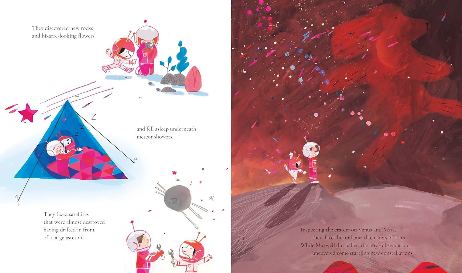Dog Who Danced on the Moon (PB)
