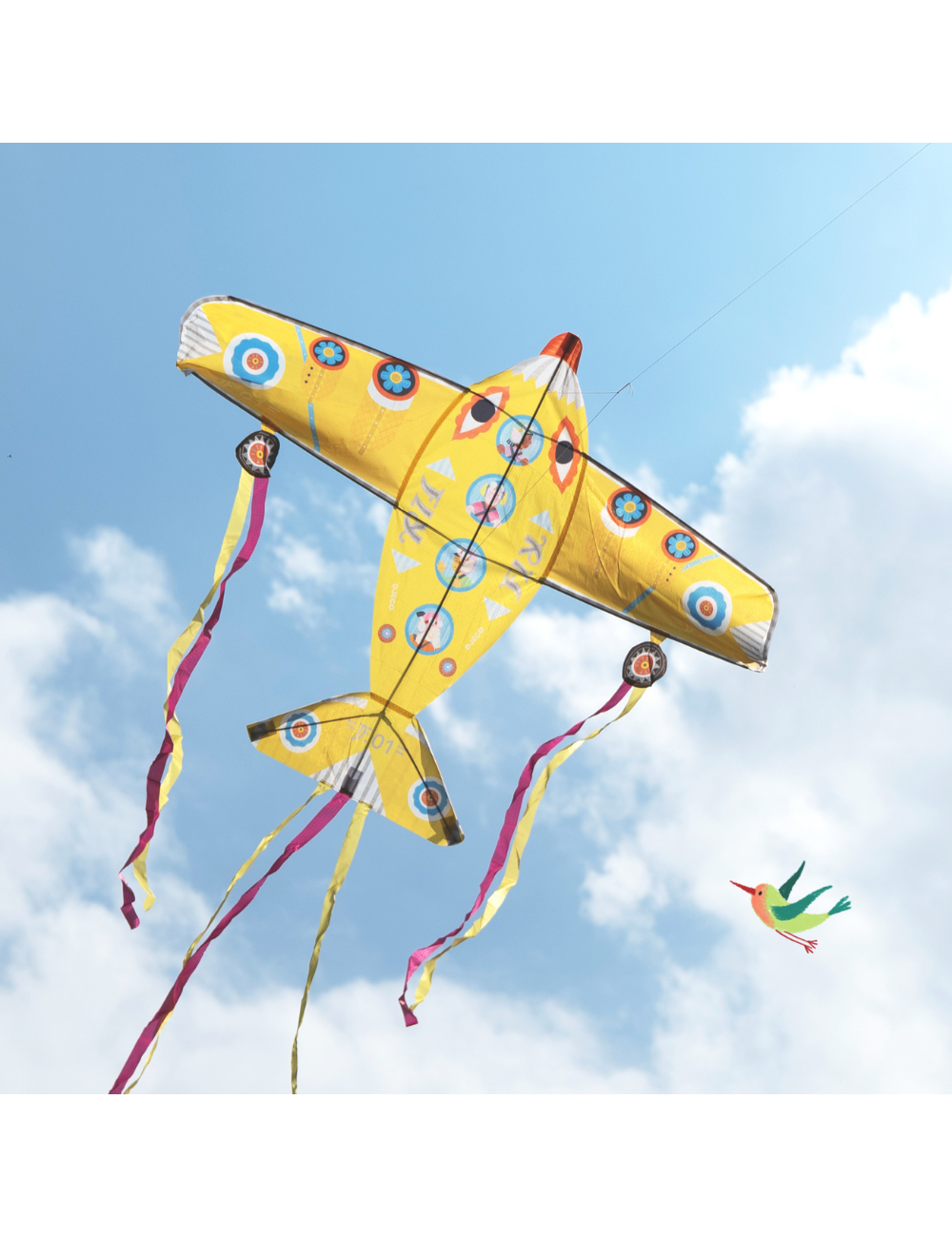 Maxi Plane Kite