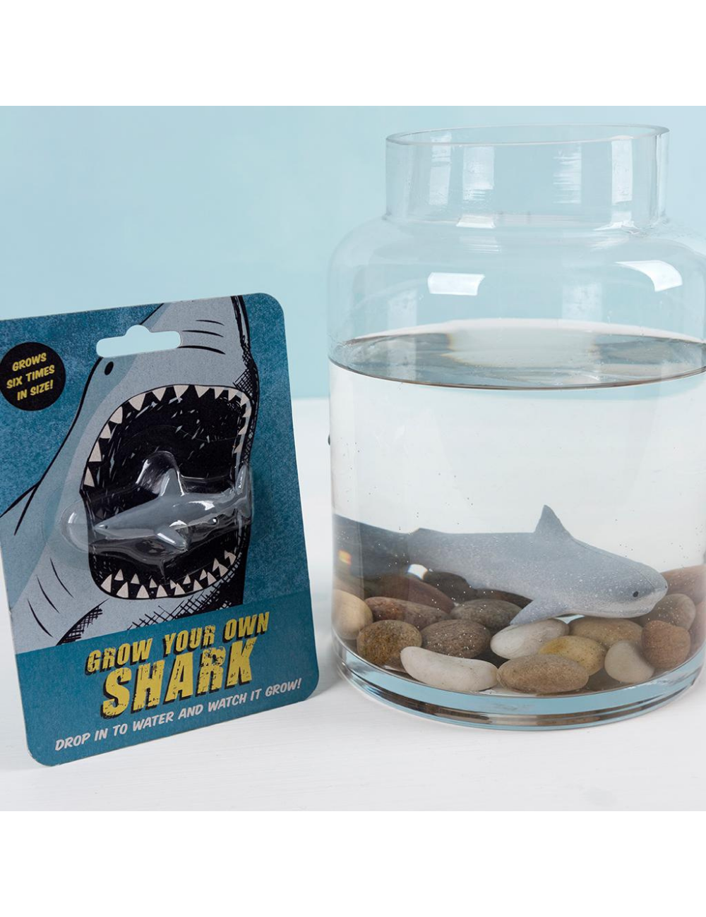 Grow Your Own Shark