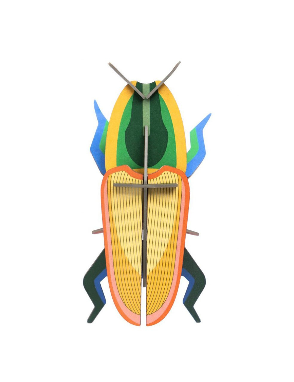 Studio Roof Madagascar Beetle