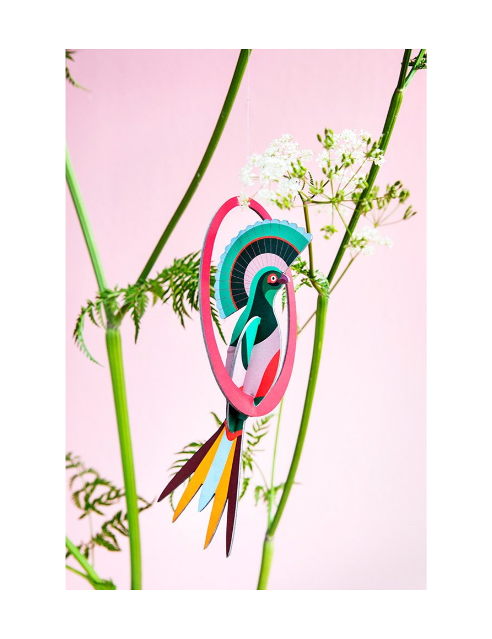 Studio Roof Pop Out Card, Paradise Birds Swinging Gili