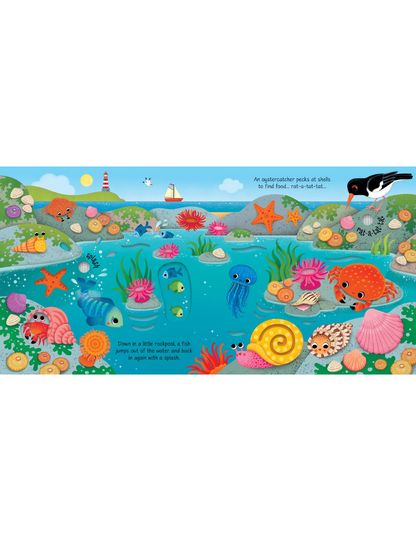 Seashore Sound Book