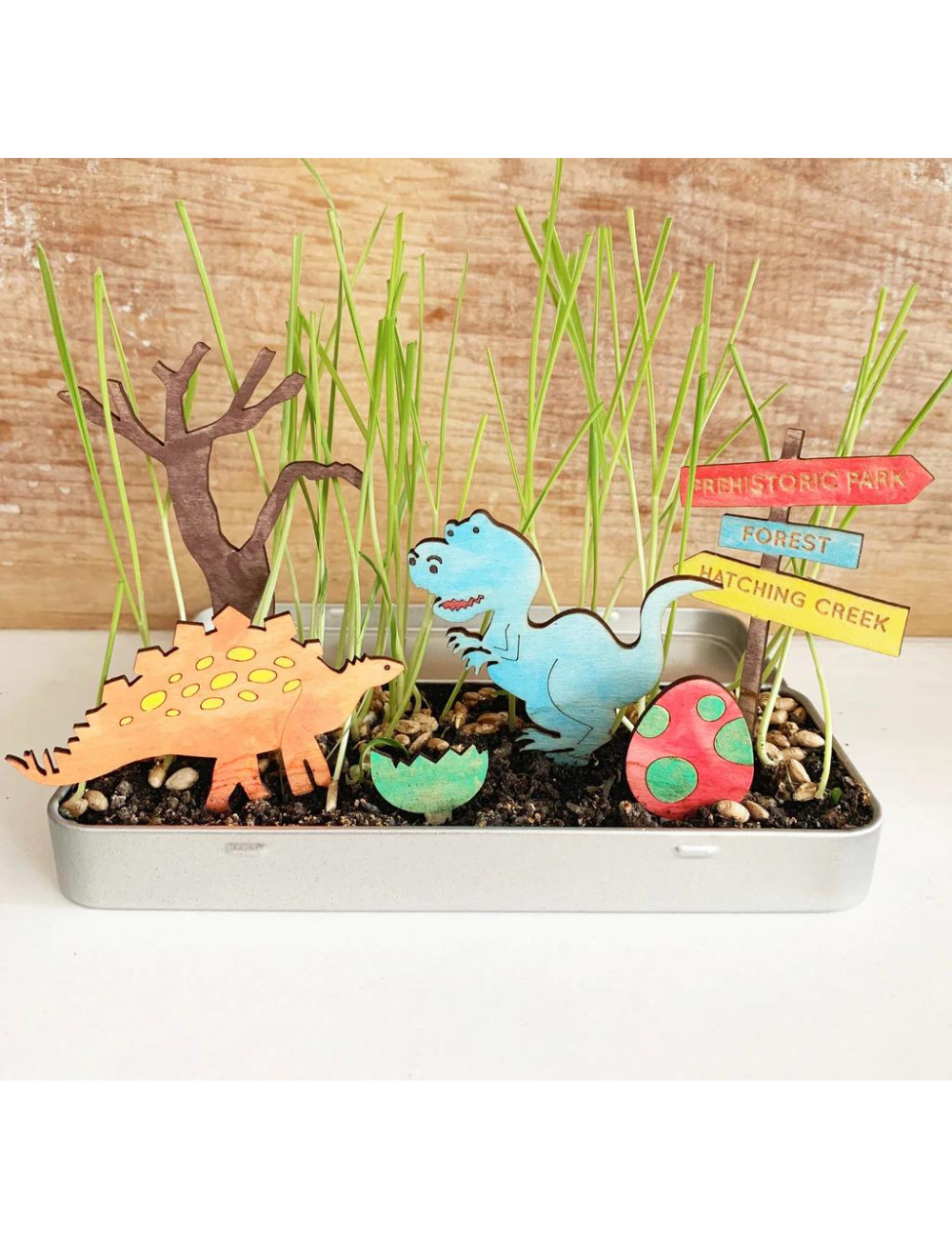 Make Your Own Dinosaur Garden