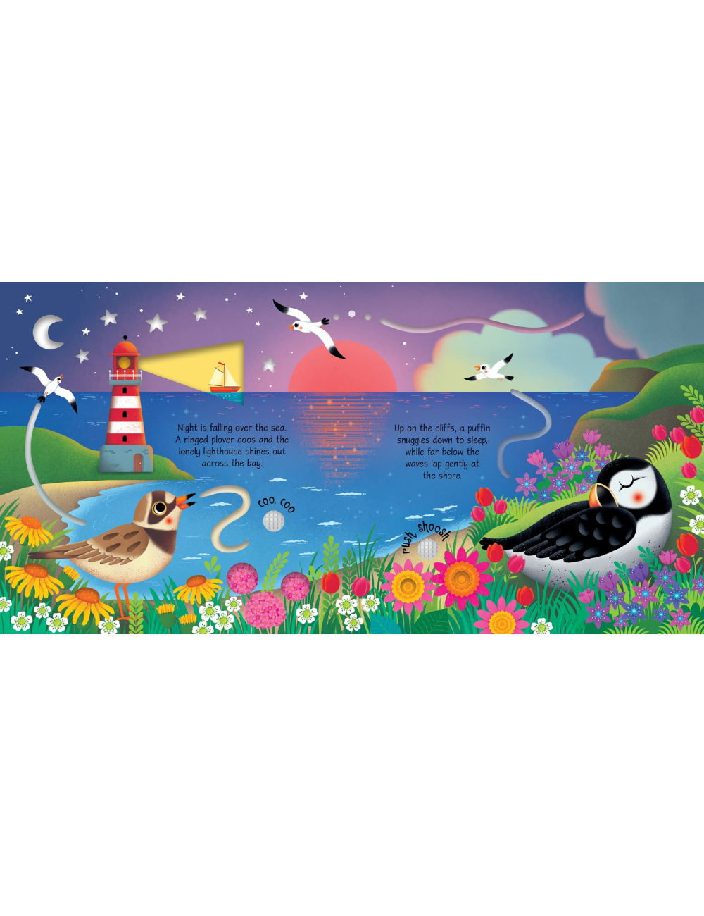 Seashore Sound Book