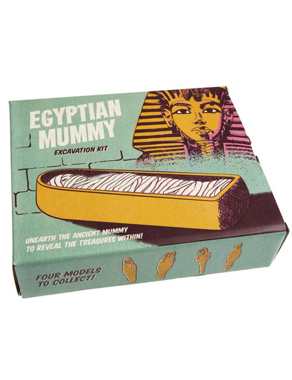 Egyptian Mummy Excavation Kit
