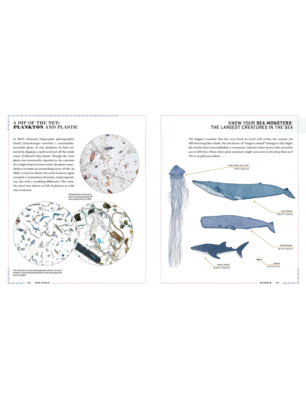Ocean: Ultimate Handbook of Nautical Knowledge