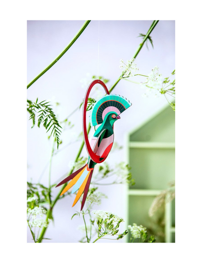 Studio Roof Pop Out Card, Paradise Birds Swinging Gili