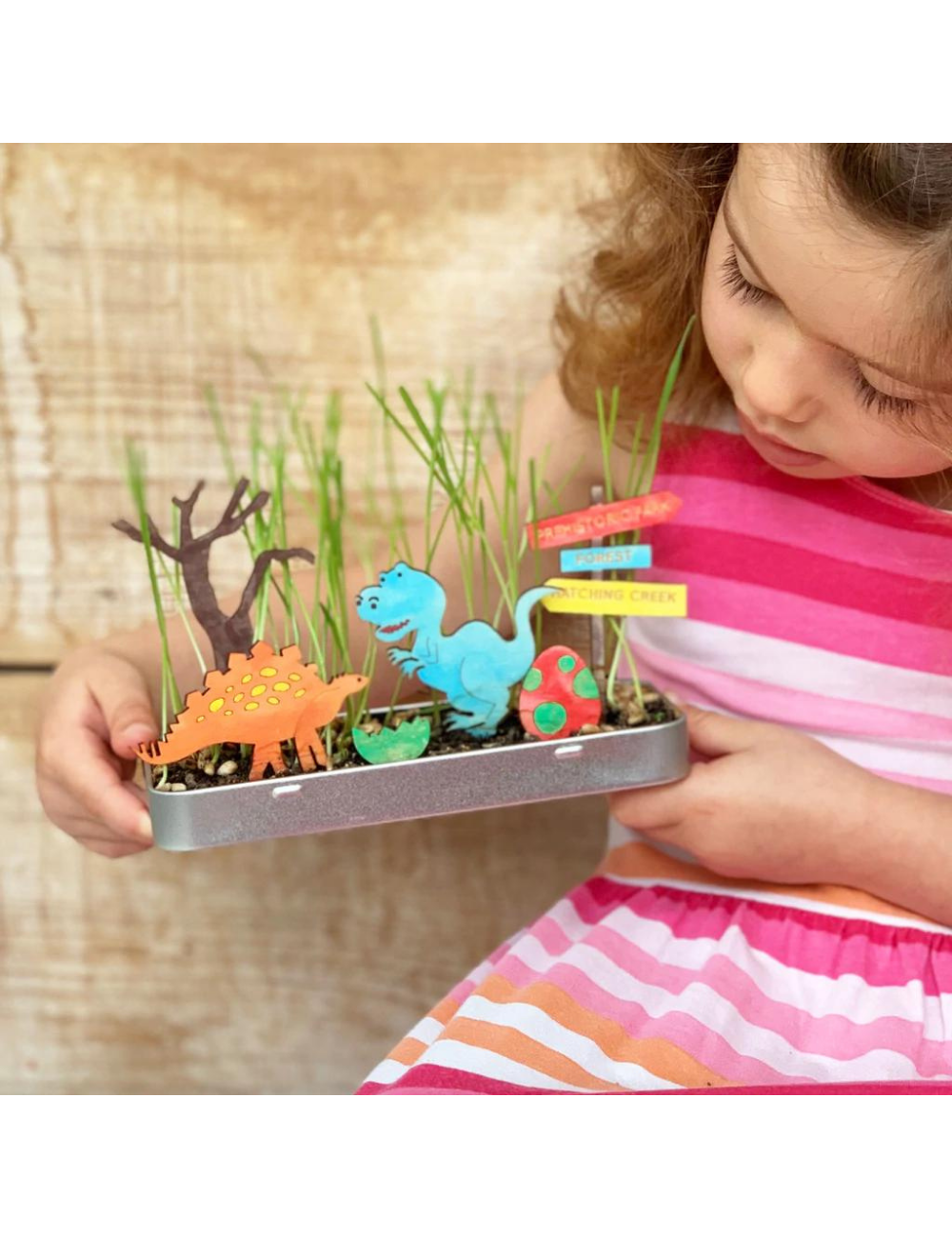 Make Your Own Dinosaur Garden