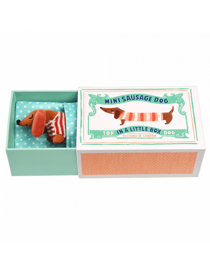 Mini Sausage Dog In A Little Box